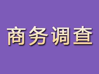 通河商务调查